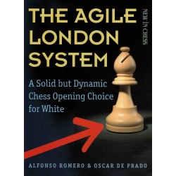 The Agile London System de Alfonso Romero et Oscar de Prado
